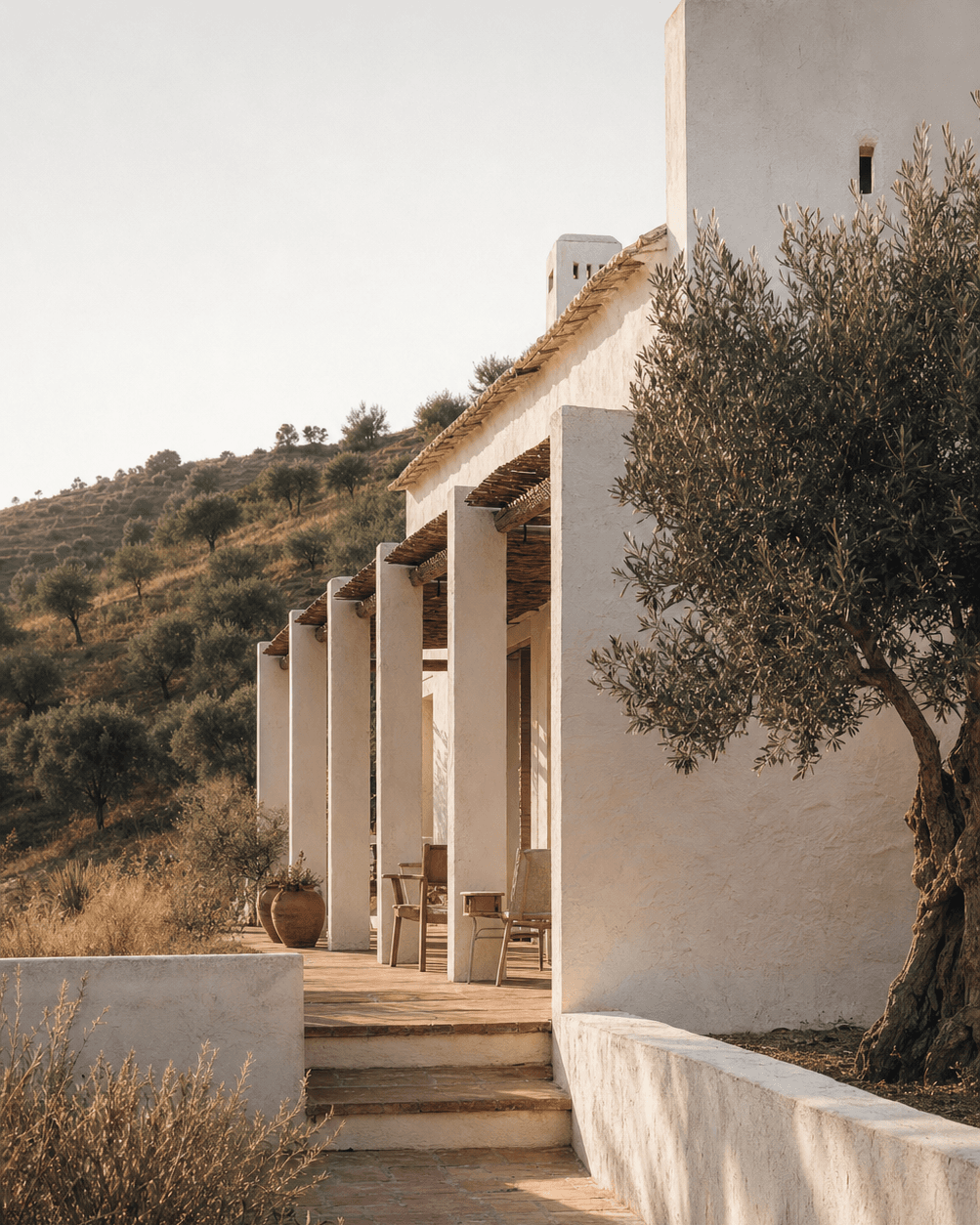 Whitewashed hillside retreat surrounded by olive trees in Alentejo